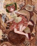  1girl :3 animal_ears bell brown_eyes brown_hair clog_sandals futatsuiwa_mamizou glasses gourd hat kabaji kiseru no_socks pipe raccoon_ears raccoon_tail sandals smoke tail tanuki touhou tree 