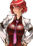  1girl blush breasts hands_on_hips highres horikawa_raiko impossible_clothes impossible_shirt jacket large_breasts nameo_(judgemasterkou) necktie plaid plaid_shirt red_eyes redhead short_hair solo touhou 