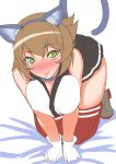  1girl :p all_fours animal_ears blush breasts brown_hair cat_ears cat_tail collar gloves highres kantai_collection looking_at_viewer mizuse_kouichi mutsu_(kantai_collection) personification red_legwear rough short_hair skirt solo tail thighhighs tongue tongue_out white_gloves 