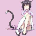  1girl animal_ears black_hair cat_ears highres legs shaomei_rin shining_(series) shining_hearts single_thighhigh sitting solo tail thigh-highs 