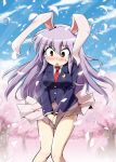 blazer blush bunny_ears cherry_blossoms covering covering_crotch long_hair necktie publicplanet purple_hair rabbit_ears red_eyes reisen_udongein_inaba skirt skirt_tug solo tears touhou wind_lift 