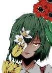  1girl absurdres anemone_(flower) close_up commentary_request face flower green_hair highres kazami_yuuka looking_at_viewer open_mouth potato_pot red_eyes simple_background solo touhou tulip white_background 