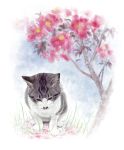  branch cat flower highres looking_down nature no_humans original realistic sakkan sitting traditional_media 