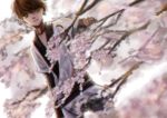  1boy alternate_costume artist_request brown_eyes brown_hair cherry_blossoms dutch_angle japanese_clothes obi sash short_hair solo spring_(season) tree tsubasa_chronicle xiaolang 