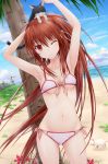  1girl armpits arms_up beach bell bikini breasts brown_hair cat clouds collarbone flower front-tie_top highres little_busters!! long_hair looking_at_viewer n.g. natsume_rin navel ponytail red_eyes side-tie_bikini sky smile solo sunflower swimsuit tree under_boob very_long_hair water wink 
