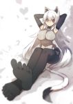  1girl animal_ears arms_behind_head black_gloves black_legwear breasts cat_ears cat_tail elbow_gloves feet glasses gloves highres large_breasts long_hair mamuru no_shoes open_mouth original pantyhose red_eyes solo tail white_hair 