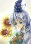  1girl blue_eyes bust fingernails flower gradient gradient_background hand_on_own_chest hat highres japanese_clothes kariginu long_sleeves looking_at_viewer mononobe_no_futo object_hug payot ponytail short_hair silver_hair simple_background smile solo sunflower tate_eboshi touhou yekong 