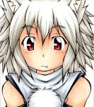  1girl animal_ears bare_shoulders blush detached_sleeves fang highres inte_(whitewolftail) inubashiri_momiji looking_at_viewer no_hat pom_pom_(clothes) red_eyes short_hair silver_hair simple_background smile solo touhou white_background wolf_ears 