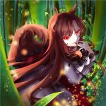  1girl animal_ears bamboo bamboo_forest breast_rest breasts brooch brown_hair dress finger_licking fingernails fisheye forest glowing glowing_eyes imaizumi_kagerou jewelry leaf licking light_particles long_fingernails long_hair looking_at_viewer mizurapi nature pale_skin parted_lips red_eyes shawl solo tail touhou wolf_ears wolf_tail 