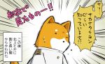  admiral_(kantai_collection) comic dog emphasis_lines kantai_collection no_humans shiba_inu solo suetake_(kinrui) translation_request 