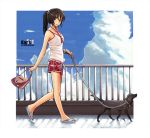  blue_eyes blue_sky brown_hair brunette cloud clouds dog gown karanak legs original sandals scenery shorts sky solo 