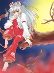  barefoot bow branch cal_(mopika) frown fujiwara_no_mokou hair_bow hair_ribbon hands long_hair pants pink_eyes ribbon shirt silver_hair sitting solo suspenders touhou white_shirt 