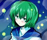  1girl antennae cape green_eyes green_hair looking_at_viewer mizuga solo touhou wriggle_nightbug 