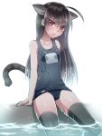  1girl animal_ears black_hair cat_ears emappo long_hair name_tag phantasy_star phantasy_star_online_2 red_eyes school_swimsuit swimsuit tail thigh-highs 