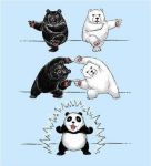  artist_request black_bear fusion_dance jpeg_artifacts panda polar_bear resizing_artifacts 