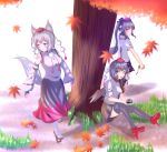  3girls animal_ears autumn_leaves bare_shoulders black_hair black_legwear black_wings blush breasts brown_hair camera cellphone detached_sleeves ears fingerless_gloves gloves grass hat himekaidou_hatate inubashiri_momiji leaf looking_away miniskirt multiple_girls nature open_mouth phone pointy_ears pom_pom_(clothes) red_eyes shameimaru_aya shirt short_hair silver_hair skirt tail tokin_hat touhou tree white_legwear wings wolf_ears wolf_tail 