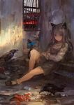  1girl animal_ears bird blue_eyes bow cat_ears cat_tail crow dress highres lm7_(op-center) long_hair original purple_hair sitting solo stairs tail tail_bow 