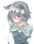  1girl akagashi_hagane animal_ears blush capelet grey_hair mouse_ears nazrin pocky red_eyes short_hair simple_background solo touhou white_background 