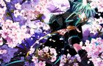  1boy asrhion cherry_blossoms flower gloves green_eyes green_hair in_tree jacket male petals solo sync tales_of_(series) tales_of_the_abyss tree 