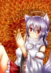  1girl :3 absurdres ahoge animal_ears autumn_leaves bare_shoulders blush breasts detached_sleeves highres holding inubashiri_momiji large_breasts leaf looking_at_viewer oohirakeisuke pom_pom_(clothes) red_eyes shirt short_hair silver_hair skirt smile solo tail touhou wolf_ears wolf_tail 