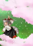  1girl animal_ears arm_up armpits bridal_gauntlets cherry_blossoms detached_sleeves from_above grass hat highres inubashiri_momiji leaning_forward looking_at_viewer noronosuke open_mouth petals pom_pom_(clothes) red_eyes shade short_hair silver_hair skirt solo tail tokin_hat touhou tree_branch vest wolf_ears wolf_tail 
