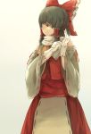  1girl adapted_costume black_hair bow brown_eyes detached_sleeves dress gloves hair_bow hakurei_reimu long_sleeves red_dress scarf solo touhou white_gloves wide_sleeves yoss_3 