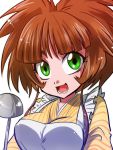  1girl apron bangs blunt_bangs breasts brown_hair character_request green_eyes ladle marimo_(yousei_ranbu) open_mouth short_hair smile 