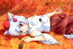  1girl animal_ears autumn_leaves bare_shoulders breasts detached_sleeves hat inubashiri_momiji leaf looking_at_viewer midriff open_mouth red_eyes shirt short_hair silver_hair skirt solo tail tokin_hat touhou wolf_ears wolf_tail yamami-hosyo 
