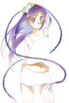  1girl braid highres kanakura_yui komi_naoshi long_hair nisekoi purple_hair smile solo violet_eyes 