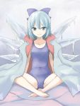  1girl arm_support blue_eyes blue_hair blue_swimsuit butterfly_sitting cirno covered_navel hair_ribbon ice ice_wings jack_(wkm74959) jacket jacket_on_shoulders jacket_over_swimsuit one-piece_swimsuit ribbon school_swimsuit short_hair sitting small_breasts smile solo swimsuit touhou wings 