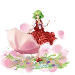  1girl ascot breasts flower green_hair holding holding_umbrella kazami_yuuka long_sleeves mogmogura parasol petals plaid plaid_skirt plaid_vest red_eyes shirt short_hair simple_background skirt skirt_set smile solo touhou umbrella white_shirt 