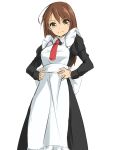  1girl apron brown_eyes brown_hair hands_on_hips long_hair looking_at_viewer maid maimai11 smile solo standing 