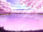  cherry_blossoms cherry_trees clouds cloudy_sky forest isami-san lake landscape nature no_humans original pink scenery sky tree 