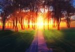  forest lens_flare nature no_humans original rainbow_order scenery shadow sky sunset y_k14 