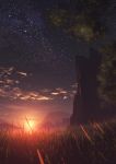  cliff clouds grass highres night night_sky no_humans original scenery sky sunset tree y_k14 