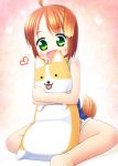  1girl animal_ears brown_hair dog_ears dog_tail fang green_eyes inuarashi meiko_(inuarashi) original short_hair solo tail 