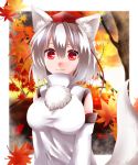  1girl :3 animal_ears autumn_leaves bare_shoulders breasts detached_sleeves fang highres inubashiri_momiji large_breasts leaf looking_at_viewer nature nayutaro pom_pom_(clothes) red_eyes short_hair silver_hair smile solo tail touhou tree wolf_ears wolf_tail 