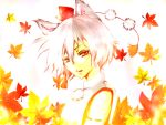  1girl animal_ears autumn_leaves bare_shoulders detached_sleeves inubashiri_momiji leaf looking_at_viewer pom_pom_(clothes) red_eyes short_hair silver_hair solo touhou wolf_ears 