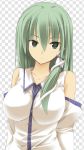  breasts green_eyes green_hair kochiya_sanae large_breasts long_hair sakurame snake solo touhou 