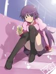  blush highres itou_ryuusei monogatari_(series) purple_hair sanbi school_uniform senjougahara_hitagi solo stapler thigh-highs thighhighs 