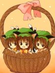  :d basket blush_stickers bow brown_eyes brown_hair cat_ears cat_tail chen clone eijima_moko hat in_container multiple_tails open_mouth smile tail touhou 