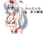  1girl animal_ears bikini blush breasts cleavage easily grey_eyes hat inubashiri_momiji large_breasts looking_at_viewer mound_of_venus navel open_mouth short_hair silver_hair solo swimsuit tail tokin_hat touhou wolf_ears wolf_tail 