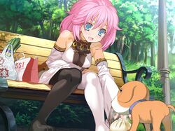  1girl asymmetrical_legwear blue_eyes blush breasts detached_sleeves dog game_cg long_hair outdoors pantyhose park_bench pink_hair puppy rance_(series) rance_01 sitting smile solo 