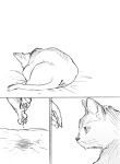  cat comic kagerou_days_(vocaloid) kagerou_project monochrome osa_(osakana1217) 