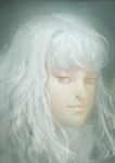  1boy absurdres androgynous berserk griffith gunbig highres long_hair realistic silver_hair solo wavy_hair white_hair 