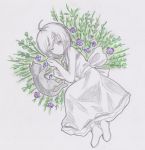  1girl braid cat dress flower graphite_(medium) majo_no_ie monochrome traditional_media viola_(majo_no_ie) 