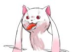  cat kyubey mahou_shoujo_madoka_magica nura_(oaaaaaa) open_mouth red_eyes simple_background tagme tongue tongue_out white_background 
