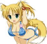  1girl absurdres animal_ears bare_shoulders bikini blonde_hair blue_eyes breasts cleavage deviantart_thumbnail dog_days fox_ears fox_tail highres large_breasts long_hair looking_at_viewer navel open_mouth ponytail ribbon solo swimsuit tail yukikaze_panettone 