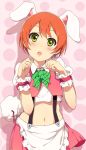  1girl :o animal_ears apron blush bowtie bunny_tail green_eyes hoshizora_rin looking_at_viewer love_live!_school_idol_project midriff navel ogipote orange_hair paw_pose pink_skirt puffy_sleeves rabbit_ears shirt short_hair short_sleeves skirt solo tail white_shirt 