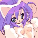  aqua_eyes blade_(artist) blade_(lovewn) capcom cat_ears felicia fur long_hair lowres oekaki vampire_(game) 